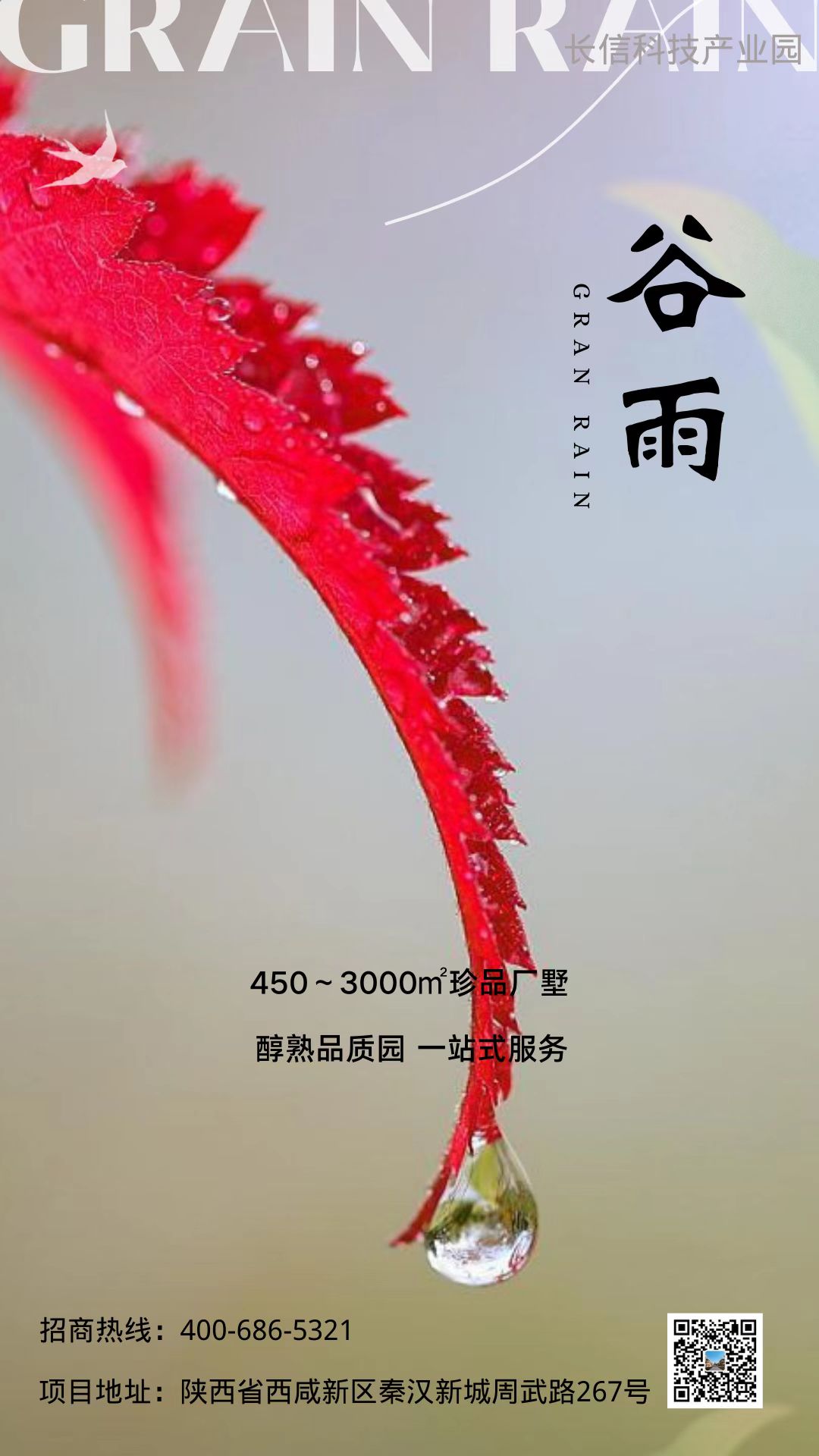 ꝙòڶ